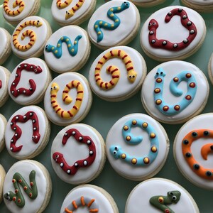 Snake Sugar Cookies: Reptile Party Favors, 12 Count