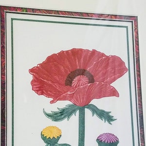 May include: A framed illustration of a red poppy flower with green leaves and stems. The poppy has a dark brown center and is surrounded by a green frame.
