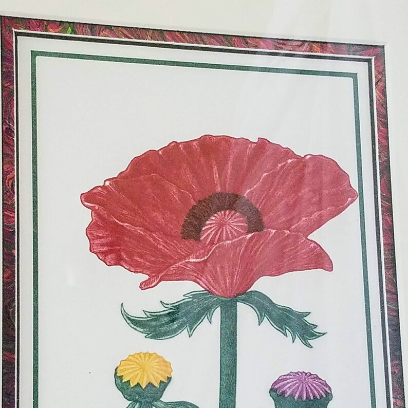 May include: A framed illustration of a red poppy flower with green leaves and stems. The poppy has a dark brown center and is surrounded by a green frame.