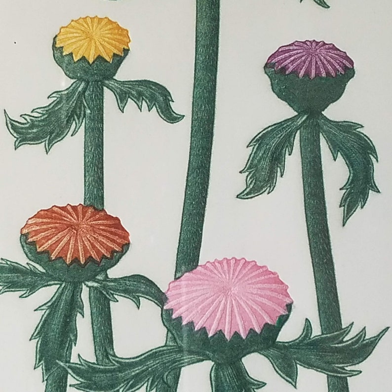 May include: Four stylized flower buds with green stems and leaves. The buds are in shades of yellow, orange, pink, and purple.
