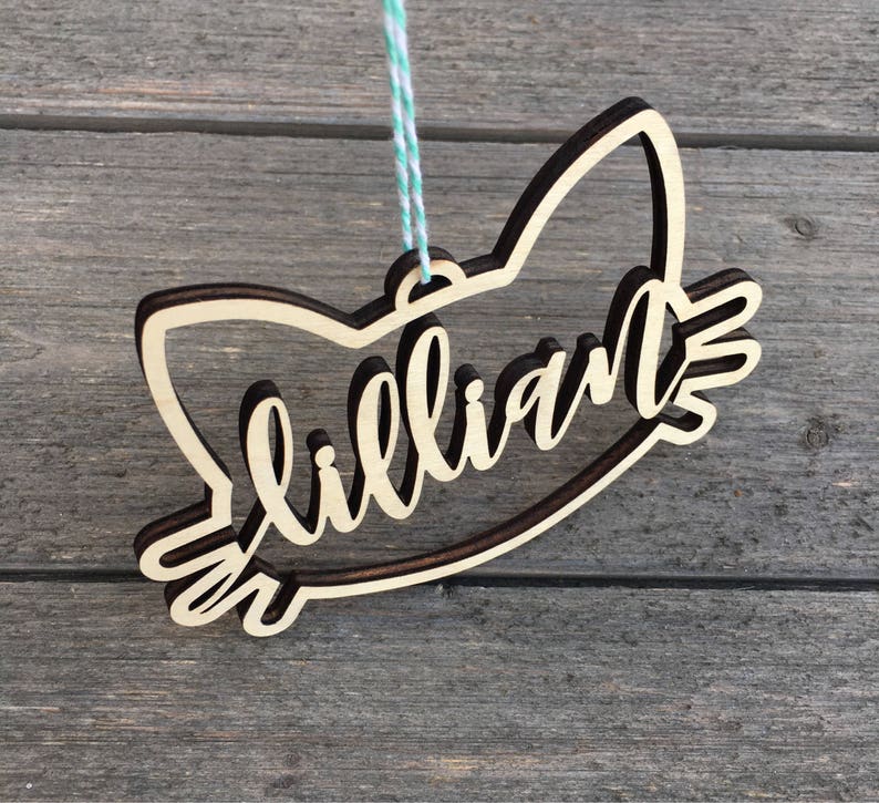 Personalized Cat Name Ornament 5 inches wide Custom Etsy