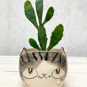 May include: A ceramic cat-shaped planter with a green succulent. The planter is white with a gray tabby cat face design, including ears, eyes, and whiskers. The succulent has multiple green, paddle-shaped leaves. The planter sits on a white wooden surface.