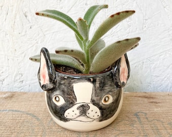 Boston Terrier Succulent Planter