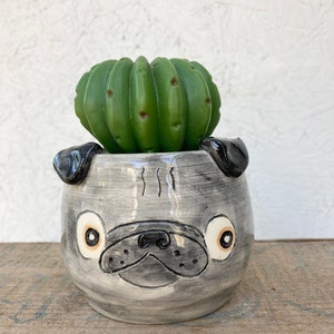 May include: A gray ceramic planter shaped like a pug dog's face with black ears and a green cactus plant inside.