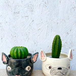 May include: Two ceramic planters shaped like French Bulldogs. One is black with a green plant, the other is white with a green cactus. Both have pink accents on the ears and mouth, and are set against a white background.