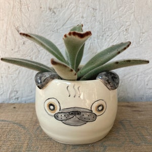 Pug Succulent Planter