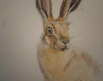 Watercolour Hare