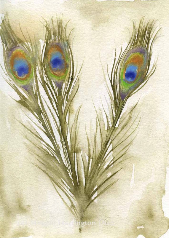 Piuma originale acquerello dipinto piume di pavone 5x7 uccello arte -   Italia