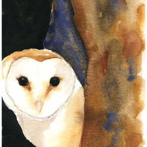 Barn Owl Painting - LARGE print - Barn Owl - Watercolor Fine Art Print - Owl Art - Bird Watercolor