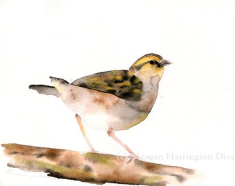 Impression de Nature peinture - peinture aquarelle Sparrow - tirage d'Art - prairie d'oiseau - oiseau