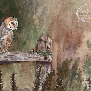 Owl Art - Barn Owl Perch - LARGE Fine Art Print - Wildlife Painting - Barn owl watercolor