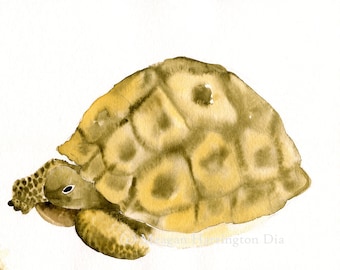 Turtle art - Desert Tortoise - LARGE 13x19 Fine Art Print - Southwest Painting - animal watercolor