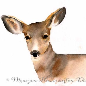Deer Watercolor - Wildlife Painting - Fine Art Print - Deer art - Nursery Print - Woodland animal