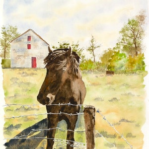 Horse Art -  Bunratty Horse - Watercolor Fine Art Print - Horse watercolor painting