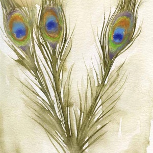Peacock Feathers - Watercolor Feather Painting -  Fine Art Print - Bird Art