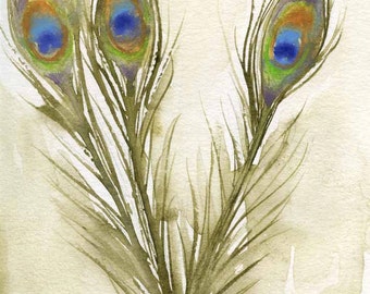Paon plumes - Feather aquarelle peinture - tirage d'Art - Art de Bird