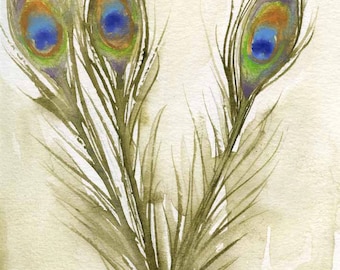 Peacock Feathers - Watercolor Feather Painting -  Fine Art Print - Bird Art