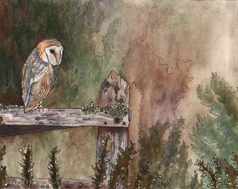 Owl Painting - Barn Owl Perch -Watercolor Fine Art Print