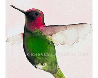 Kolibrie aquarel - Anna's Kolibrie - LARGE Fine Art Print - Bird Art