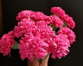 Day of the Dead 50 HOT PINK Marigolds, Dia de Los Muertos, Mexican Flowers, Crepe Paper Flowers, Wedding Decorations, Cinco de Mayo, Fiesta