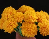 Day of the Dead 50 Yellow Marigolds, Dia de Los Muertos, Mexican Flowers, Crepe Paper Flowers, Wedding Decorations, Cinco de Mayo, Fiesta