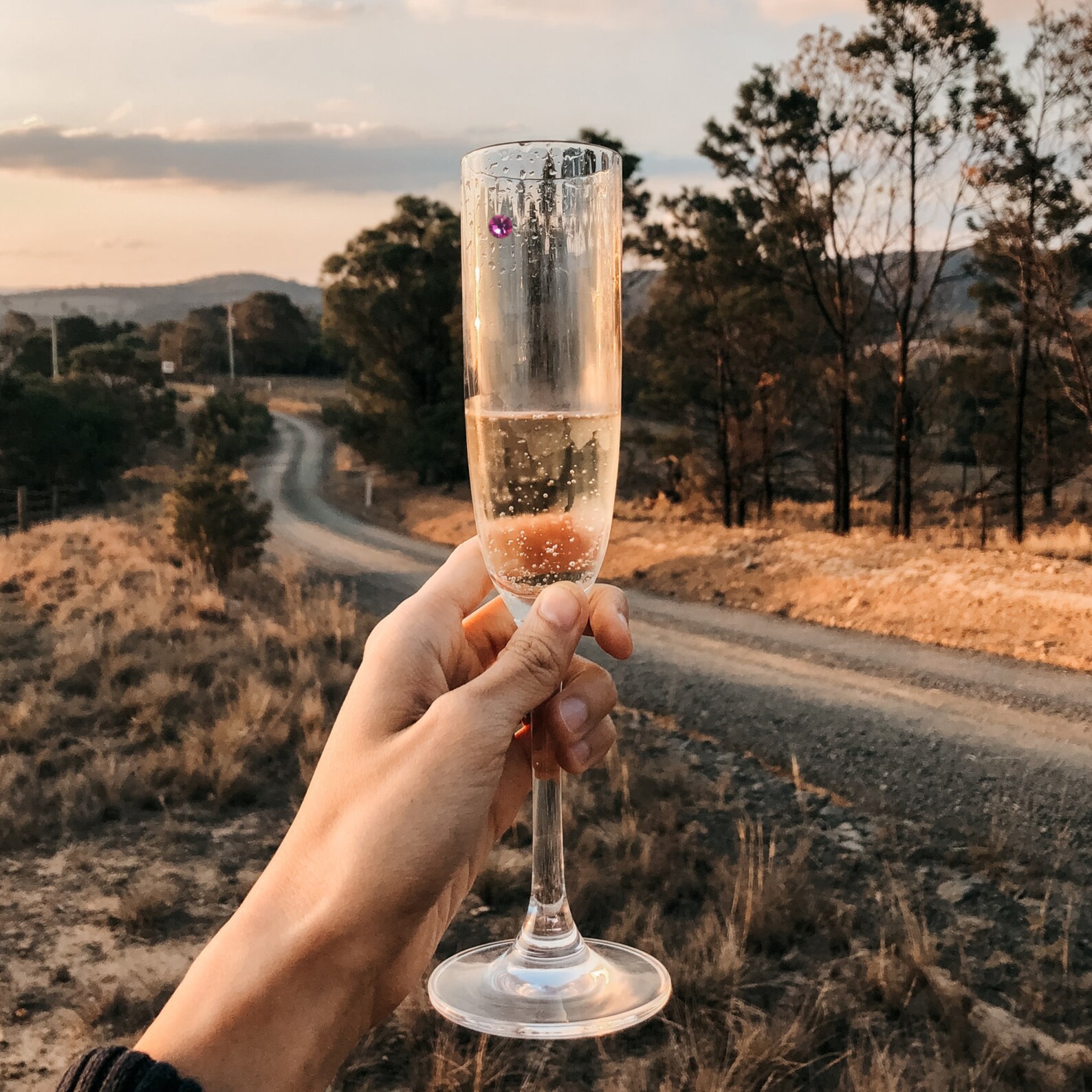 Swarovski Crystal Wine Glass Charms Great Birthday Etsy