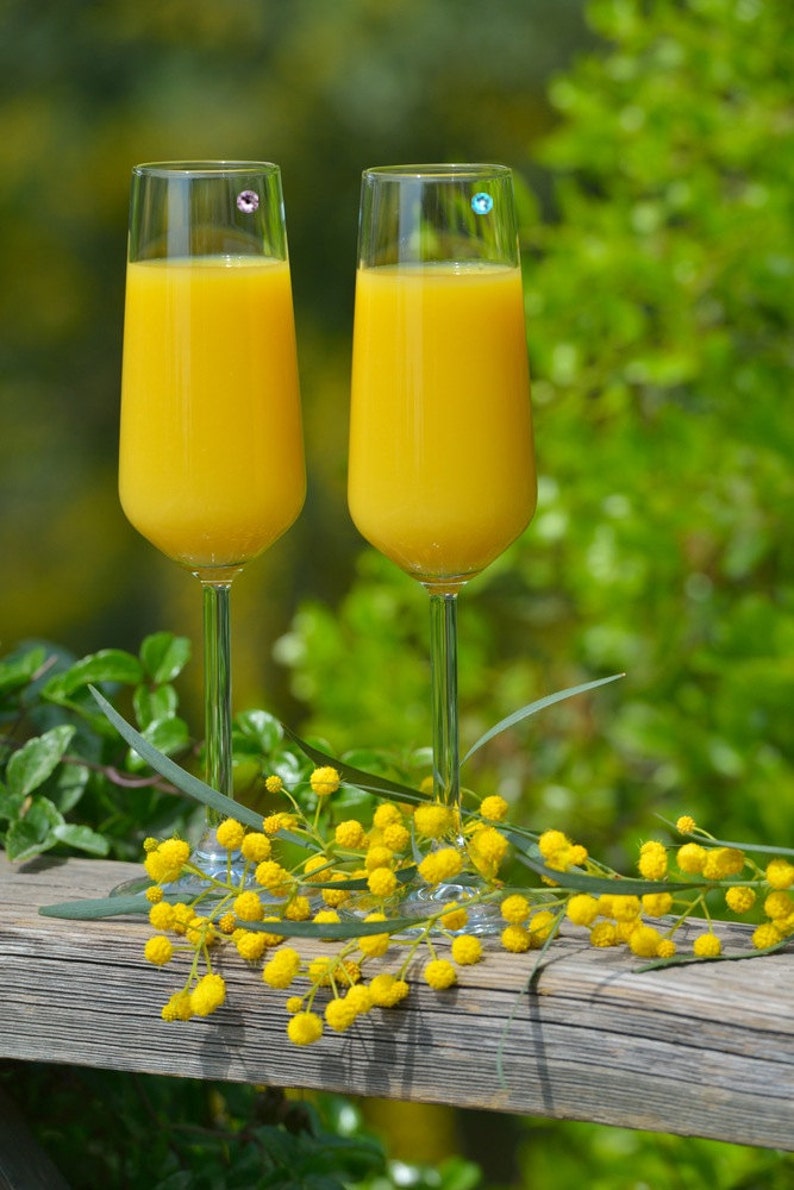 Swarovski Crystal Gift Wine Glass Charms Perfect Etsy