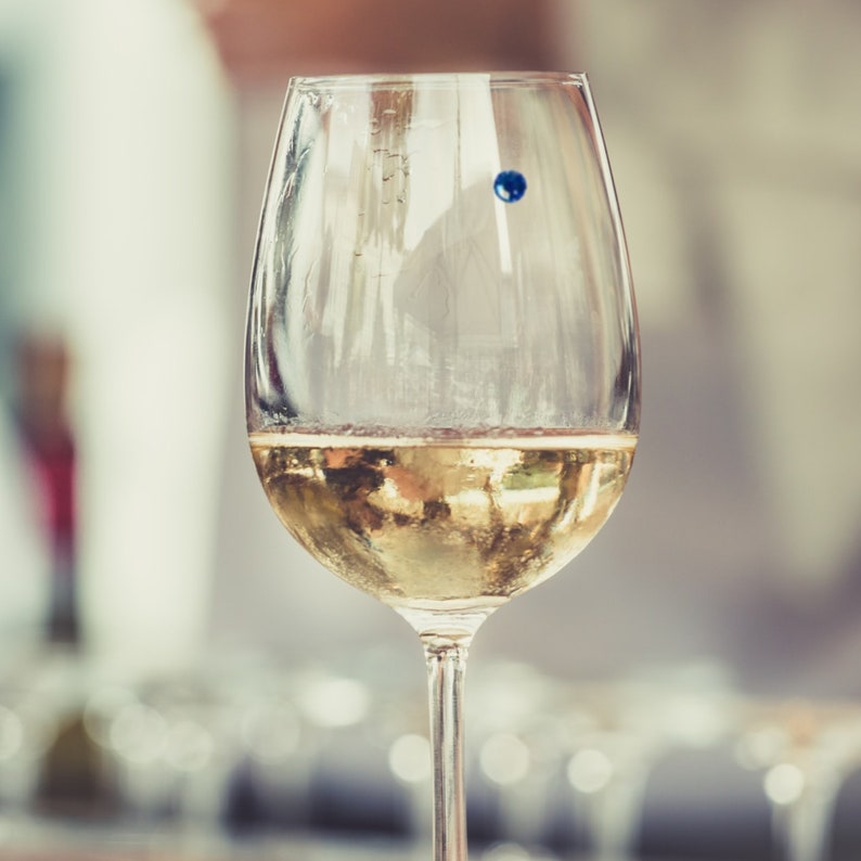 Swarovski Crystal Gift Wine Glass Charms Great Etsy