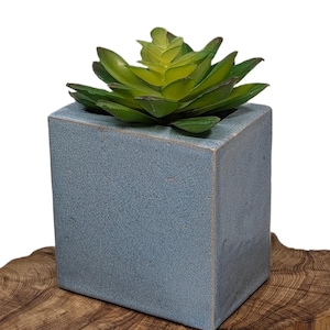 May include: A small, square, light blue ceramic planter with a crackle finish, holding a vibrant green succulent plant. The plant has multiple layers of green leaves with yellow tips. The planter sits on a natural wood surface.