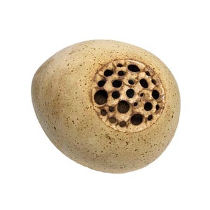 May include: A speckled, oval-shaped ceramic object with a circular pattern of holes on one side. The object is a light beige color with darker brown speckles, and the holes create a textured, porous appearance. The design suggests a decorative or functional item.