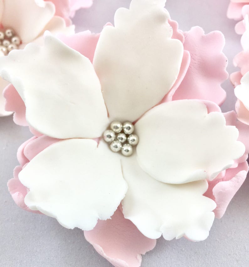 Gumpaste Flowers 6 Gumpaste Open Peony Flowers Sugar Peonies Etsy