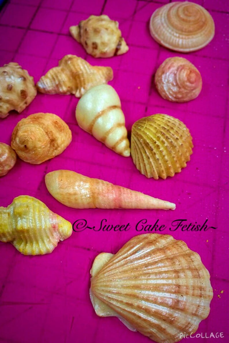 Fondant Sea Shells and Large Wave Heart Cake Toppers Gumpaste sea shells Edible sea shells Sugar shells Sea shells Beach wedding cake