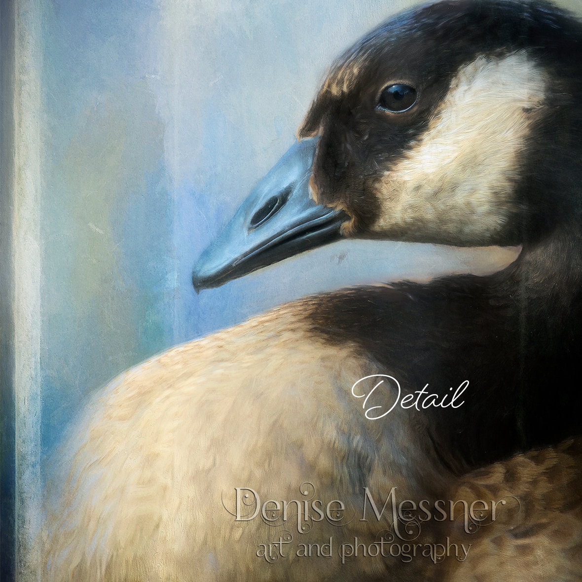 Canada Goose Wall Art Wild Goose Art Print Waterfowl Fine Etsy