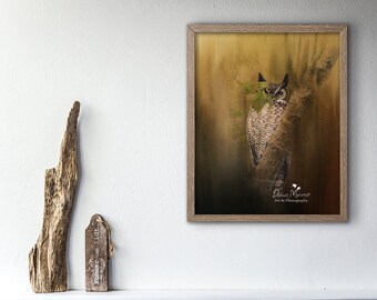 Great horned owl art photography print vertical wall art  11x14 California bird photography print