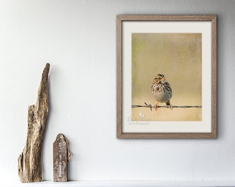 Bird Print Bird on barbed wire Fall Art Bird Art Nature Photography, Vertical wall art,