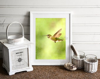 Bird Print Fine Art Nature Photography Hummingbird Photo Home Decor Hummingbird Art