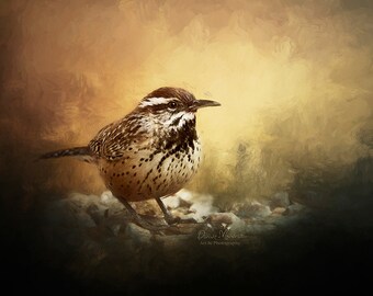 Cactus Wren 8x10 horizontal bird art print, Arizona state bird, 11x14 Photographic art painting cute
