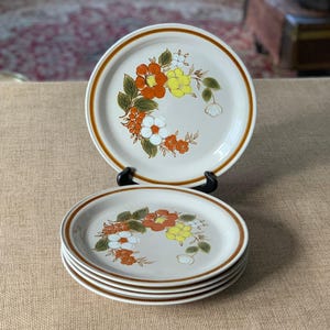 Puede incluir: Un juego de platos de cerámica vintage con un diseño floral. Los platos tienen una base de color crema con un borde marrón y presentan un grupo de flores naranjas, amarillas y blancas con hojas verdes. Un plato se exhibe en un soporte negro.