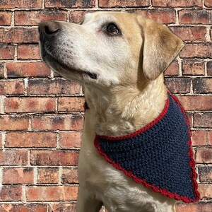 May include: A light brown dog wearing a navy blue bandana with a red trim. The bandana has a scalloped edge.