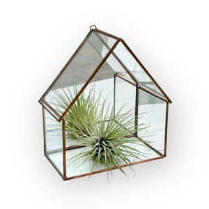 Wardian case - Etsy 日本 手作りガラス温室風テラリウムケース