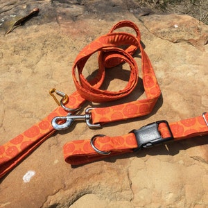 Halloween Pumpkin Dog Collar and Leash Set: Adjustable 17-23 inch Collar