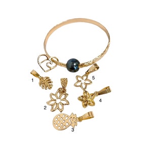 May include: A gold charm bracelet with a black pearl bead and various charms, including a pineapple, a leaf, and flowers. The charms are numbered 1 through 5.