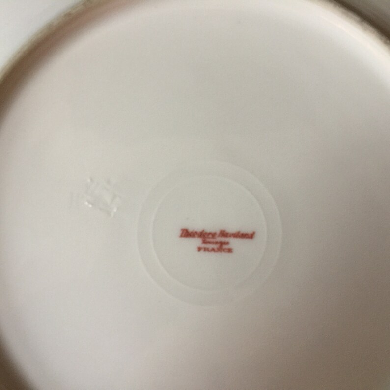 Haviland Limoges Dinner Plate France Pink Floral China