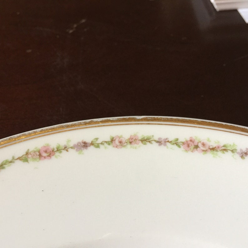 Haviland Limoges Dinner Plate France Pink Floral China