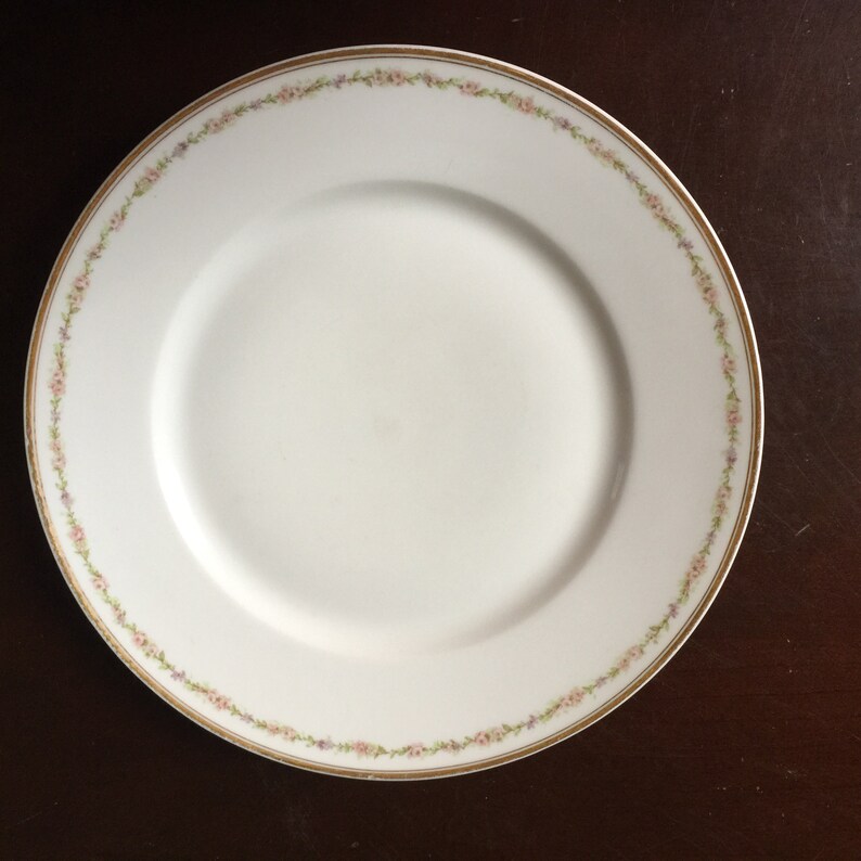 Haviland Limoges Dinner Plate France Pink Floral China