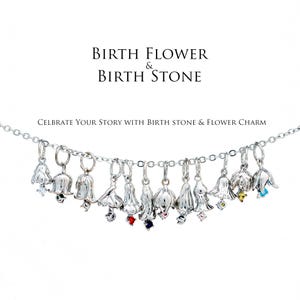 HL012-1PC/20PCS, Rhodium Plated CZ Birth Flower Charms, Birthstone Charms, Necklace Bracelet Jewelry Making Component, Nickel Free