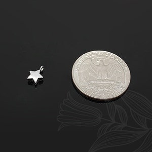 M934-20pcs-Rhodium Plated-star image 5