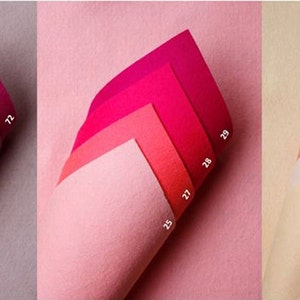 Può includere: Una collezione di fogli di feltro in varie tonalità di rosa, rosso e beige. Ogni pila di feltro è disposta a ventaglio, mostrando le sfumature di colore. I numeri sono stampati sui fogli. Adatto per progetti di artigianato o artistici.