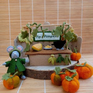 Op de afbeelding: Een vilten pompoenstand met de tekst "Pip's Pumpkin". De stand heeft een vilten muis met een groene jas en hoed, samen met verschillende oranje pompoenen. Een plak pompoen en een kleine pot staan op de stand.