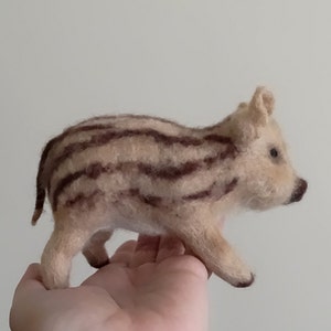 Needle Felted animal , Little wild  pig,Felted piglet,pig figurine,realistig animal